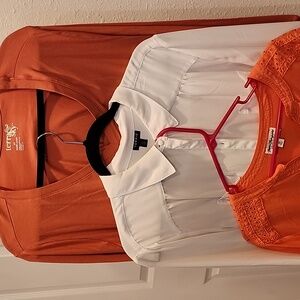 Lot Of 3 Blouses 2X